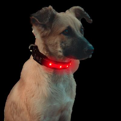 China 2023 New Dog Slide Lights Air Tag Ribbon Applicable Nylon IPX 7 Waterproof Medium And Large USB Lamp Charging LED Dog Collar for sale