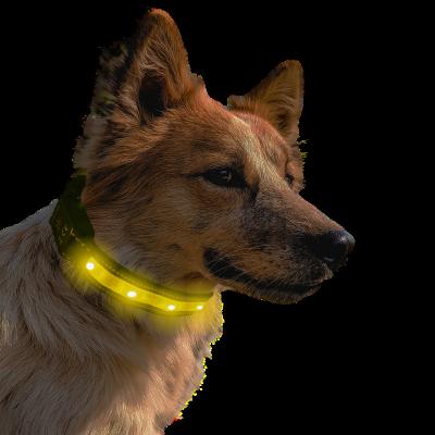 China New Dog Slide Lights Air Tag Ribbon Suitable Nylon IPX 7 Waterproof Medium And Large USB Charging LED Dog Collar for sale