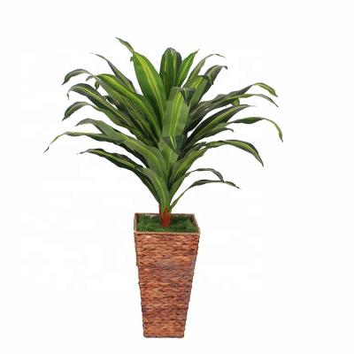 China Artistic / Eco-Friendly / Easy To Assemble Comfortable Factory Price Waterpoof No Irritation Home Use Green Artificial Dracaena Fragrans Plant 110cm for sale