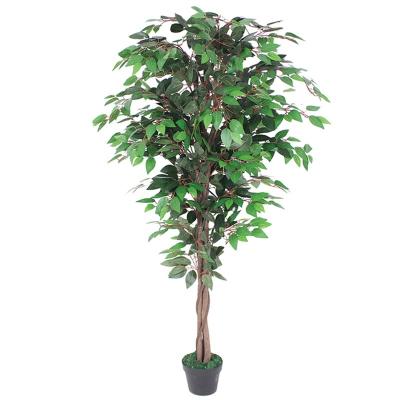 China Environmental / Tree / Manufacturer Selling Easily Assembled Good Quality Make Eyes Comfortable Artificial Ficus Plant Tree for sale