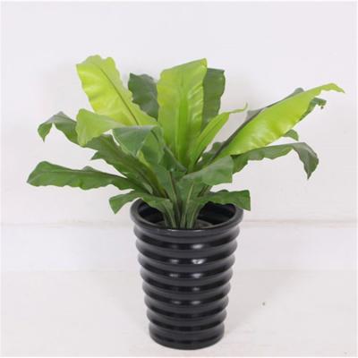 China Environmental Friendly Reasonable Price Custom Design To Make Eyes Comfortable Artificial Banana Tree Bonsai Tree for sale