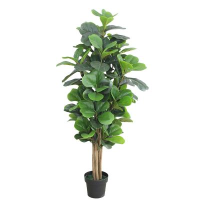 China Eco - Friendly Hot Decorative Artificial Plastic Fiddle Leaves Plants Trees For Indoor for sale