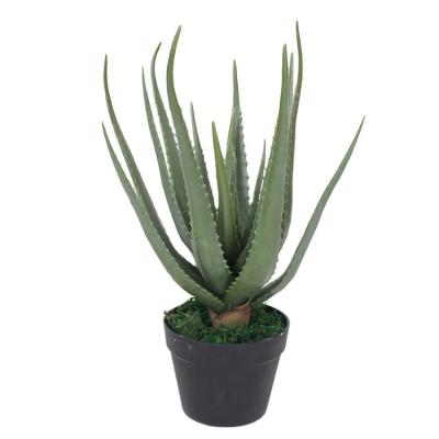 China Environmental Friendly Artificial Aloe Bonsai Plants For Decoration for sale