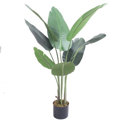 China 2020 Plants Traditional Artificial Traveler Banana Tree For Office Greenscape Decoration for sale