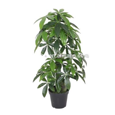 China Plastic Indoor Decoration Fortune Tree Artificial Plant For Factory Wholesale for sale