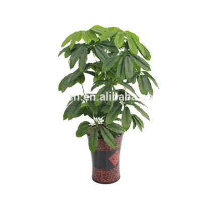 China Plastic Supply Garden Landscaping High Artificial Lucky Tree for sale