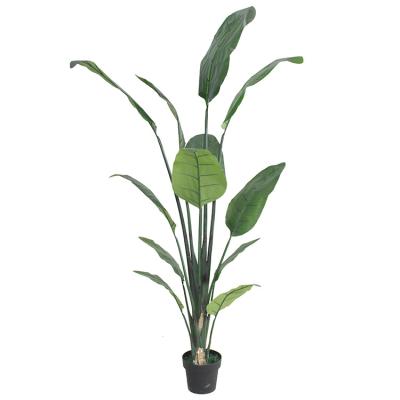 China Cheap Environmental Friendly Green Plastic Bird Plants Artificial Banana Tree Paradise For Hotel Home Decoration for sale