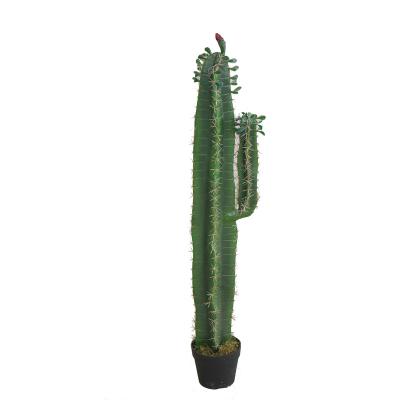 China Environmental Friendly Plastic Artificial Hand One Hand Signal Cactus Green Color for sale