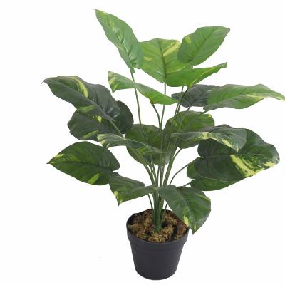 China Wholesale Environmental Friendly Artificial Potted Mini Plant Artificial Bonsai Trees for sale