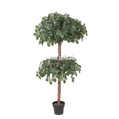 China Wholesale Life Size Artificial Trees Touch Plant Eco - Friendly Real Plant for sale