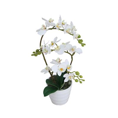 China Good Price Good Quality Environment Friendly Real Touch White Artificial Orchid Flowers Netting for sale