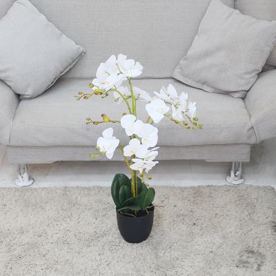 China Fabric Mini Faux Orchid Plants and Bonsai for Table Decoration Artificial Orchid Plants for Hotel Office Wedding Home Ornament for sale