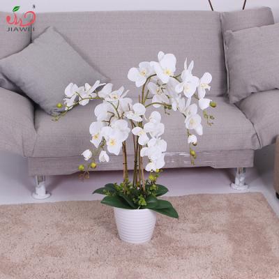 China Environment Friendly Artificial Orchid Flower Top Quality Real Touch For Indoor Decoration for sale