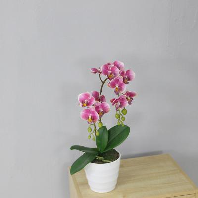 China Factory Directly Selling CLASSIC Artificial Snow Cyan Artificial Butterfly Orchid Flower For Home Decoration for sale