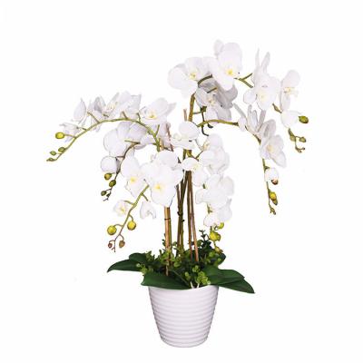 China New Design Orchid Artificial Flower Plant CLASSIC Butterfly Orchid Plant Customized White Flower With Pot for sale