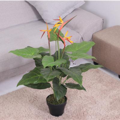 China Competitive Price Environmental/Easily Gathered Artificial Bird Of Paradise Flower High Quality Plastic Flower Decoration For Home for sale