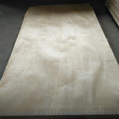 China 0.25mm Rotary Russian Plywood White Birch Plywood Veneer for sale