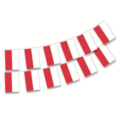 China WM2022 Poland Flag Supporter Party Hanging Bunching Polish Flags In Line for sale