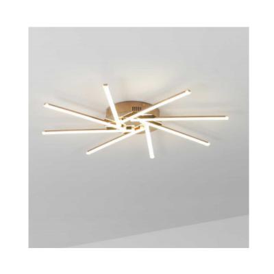 China Modern Modern Silicone Aluminum Gold Led Ceiling Lights For Living Room Bedroom Ceiling Lamp for sale