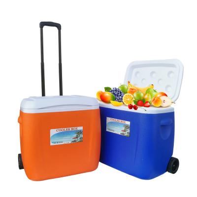 China 38 L Modern Portable Fridge Motorhome Fridge With Wheels Trolley Large Food Storage Container Freezer Incubator for sale