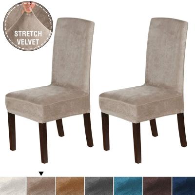 China Durable Velvet Stretch Spandex Chair Covers 2 Piece Luxury Super Soft Spandex Velvet Chair Covers for sale