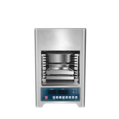 China Steak Oven For Restaurant Outdoor Gas Grill Barbecue Gas Grill Charcoal for sale