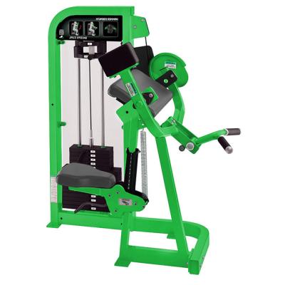 China Commercial use factory strength fitness equipment fitness equipment biceps gym machine for sale