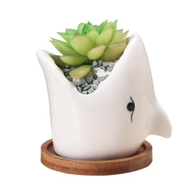 China CLASSIC Garden Amazon cartoon flower pot plant table plant creative ceramic European simple indoor flower pot for sale