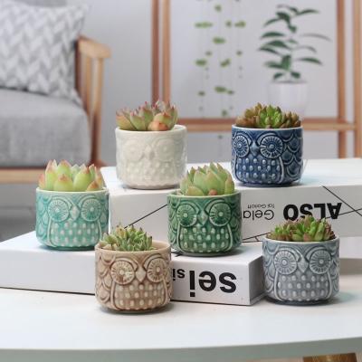 China CLASSIC Border Succulent Creative Raw Pottery Home Owl Flowerpot Plant Basin Breathable New Products for sale