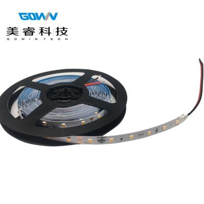 China High CRI 2835 LED Strip Light Indoor and Outdoor IP20 IP65 IP67 DC24V DC24V String for Outdoor String Lights for sale