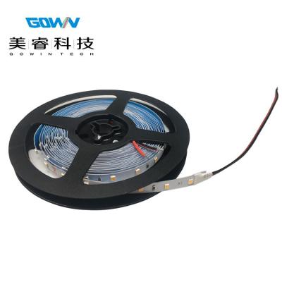 China High CRI 2835 LED Strip Light Indoor and Outdoor IP20 IP65 IP67 DC24V DC24V String for Outdoor String Lights for sale