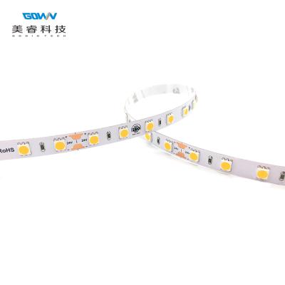 China High Efficiency Waterproof 12V 24V DC SMD5050 Led Strip Flexible Strip Light From China Stable Manufacturer for sale