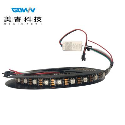 China Indoor and Outdoor WS2812 DC5V SMD5050 RGB LED String Lighting LED Color Changing IP20/IP65 LED TV Backlight for sale