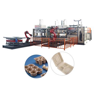 China food & Biodegradable Beverage Plant Dish Container Paper Pulp Food Box Machine for sale