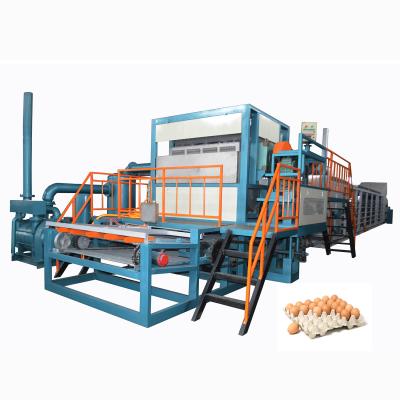 China Full Automatic Save Energy Waste Paper Recycled Pulp Egg Carton Machine for sale