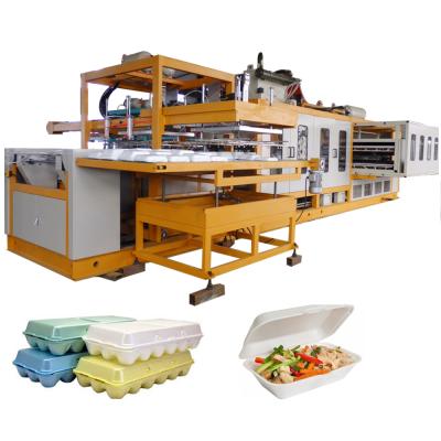 China Hongrun Brand Disposable Food Container Production Line Vacuum Foam Plastic Food Container Plates for sale