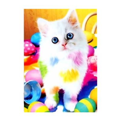 China New arrival 5d diamond painting kit CLASSIC cat diy diamond painting for sale