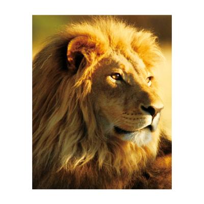 China Famous CLASSIC Diamond Drawing Lion And Man Animal Painting DIY Customization Living Room Bedroom Decoration for sale