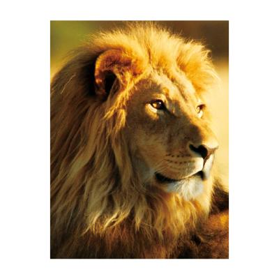 China CLASSIC Oil Art Numbers Canvas Diamond Drawing Lion And Woman Animal Painting Bedroom Wall Diy Customization for sale