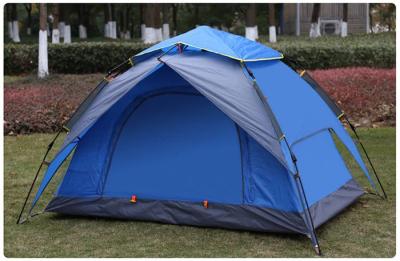 China 3 Season 2 Person Blue Green Camping Tent with Removable Rain Fly and Carry Bag for sale