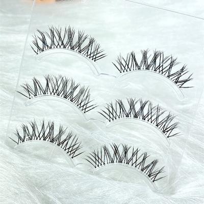 China Long Strip Natural Clear False Eyelashes Luxury Private Label False Eyelash Sets Eyelash Wholesale Korea for sale