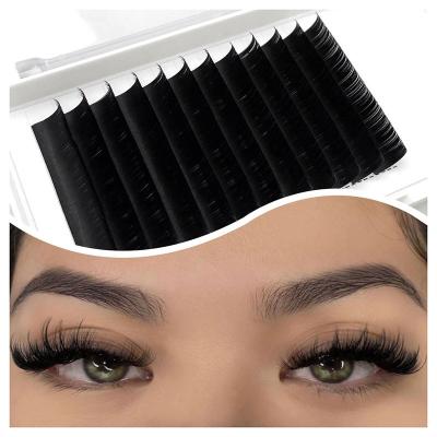 China Flat Lashes Extensions Flat Lashes Extensions PBT Korean Matte Black Eyelash Extension 0.20 D Loop Ellipse Flat Lashes for sale