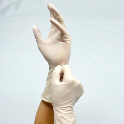 China 12 Inch Textured / Smooth Surgical Glovee stelized medical rubber gloves long glovee for sale