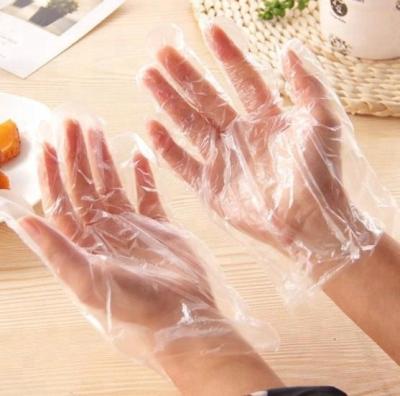 China 100 Pcs X PE Gloves Cheap Disposable Plastic Food Grade Glovess 100 Bags x 1 Carton Price for sale