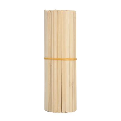 China 100% Sustainable Compost Disposable Bamboo Flavored Coffee Shaker for sale