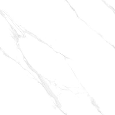 China 800 x 800 Modern Carrara White Floor Tile Full Body Porcelain White Marbles Tile For Living Room for sale