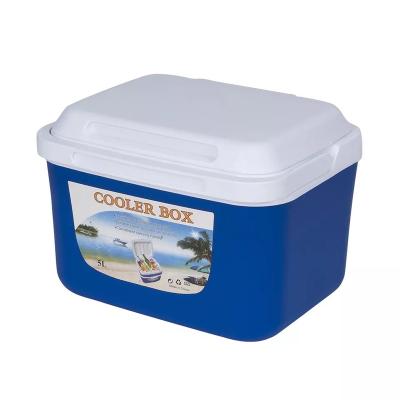 China Hot Selling Waterproof Amazon 5L FlipLid Insulated Cooler and Warmer for Picnic Camping Car and Home for sale