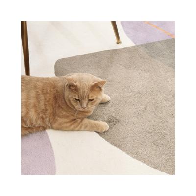 China High Quality Washable Microfiber Area Rug Washable Soft Carpet For Living Room for sale