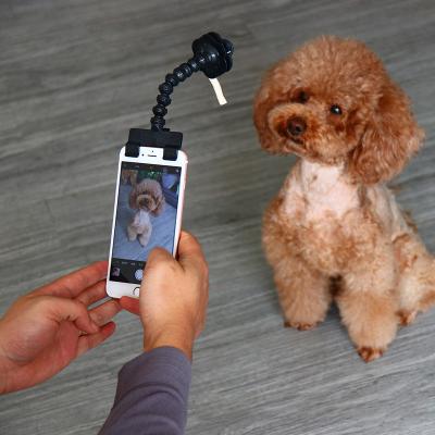 China Amazon Attachment Tool Dog Cat Toy Pet Selfie Stick For Dog Fit iPhone Smartphone Viable Hot Selling Tablet for sale