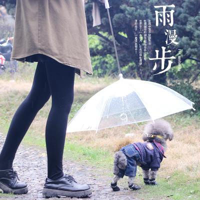 China Minimalist High Quality Outdoor Folding Leash Pug Dog Rainproof Clear Umbrella With Tow Rope For Pet Walking for sale